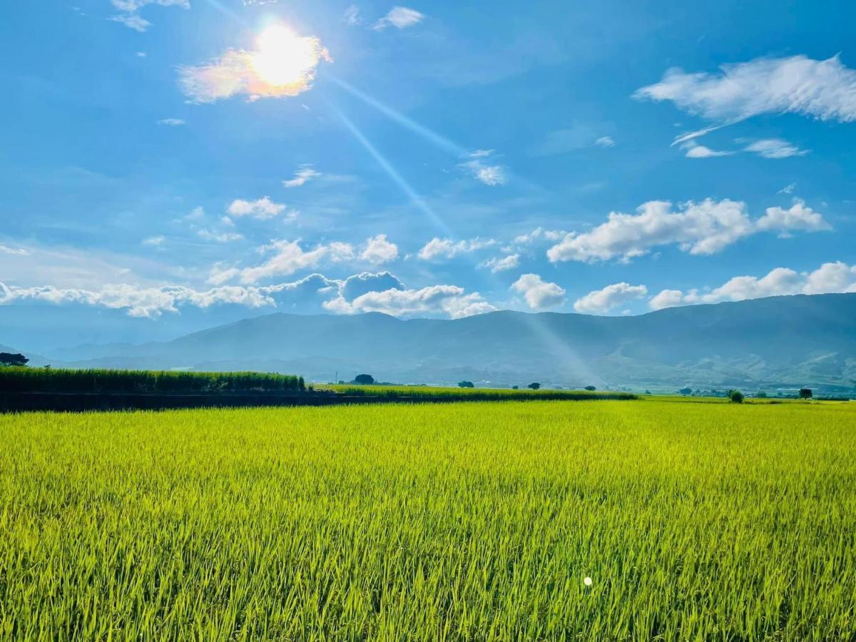 關山稻香田園民宿 하이돤 향 외부 사진